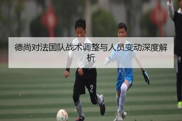 德尚对法国队战术调整与人员变动深度解析